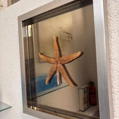 Morska Postelja - Sea Bed *