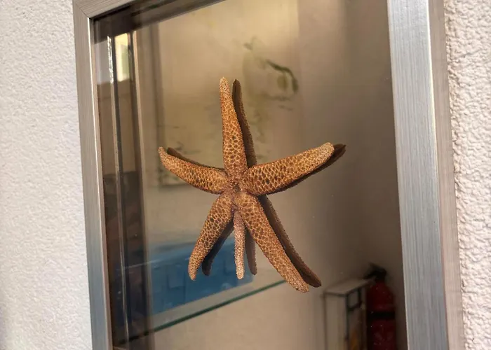 Morska Postelja - Sea Bed *